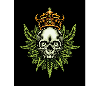 Streetwear Rusti – Pack de vectores urbanos